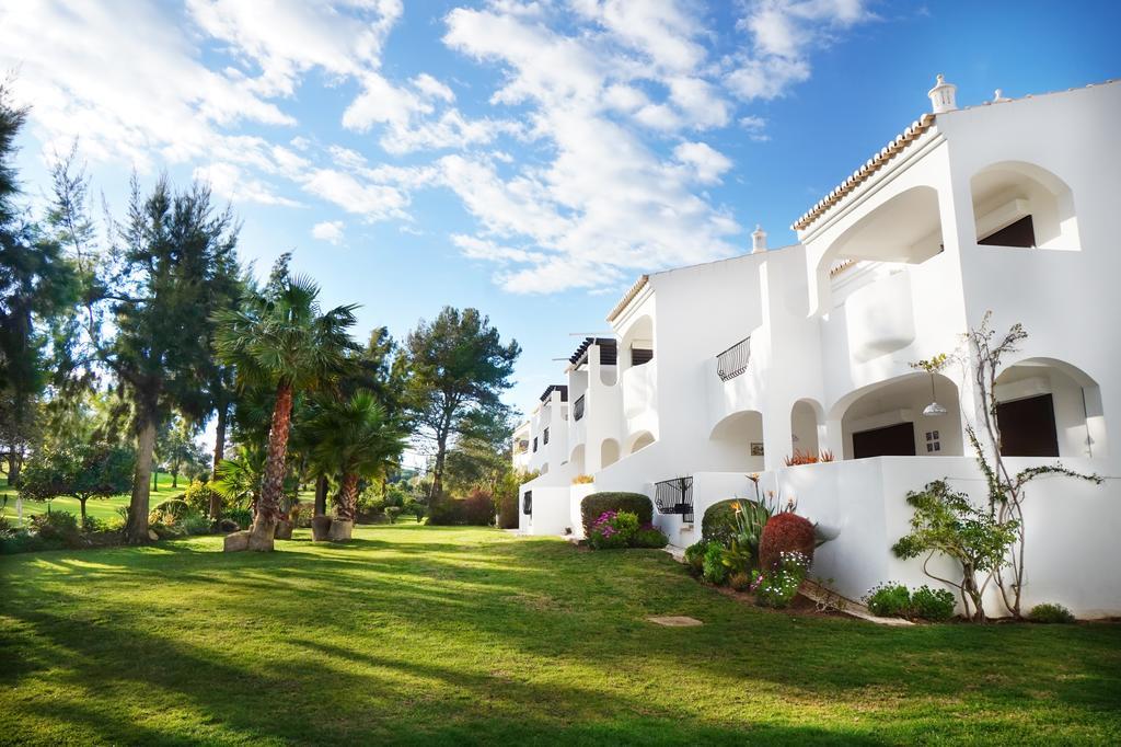 Apartment Palmeira Vip